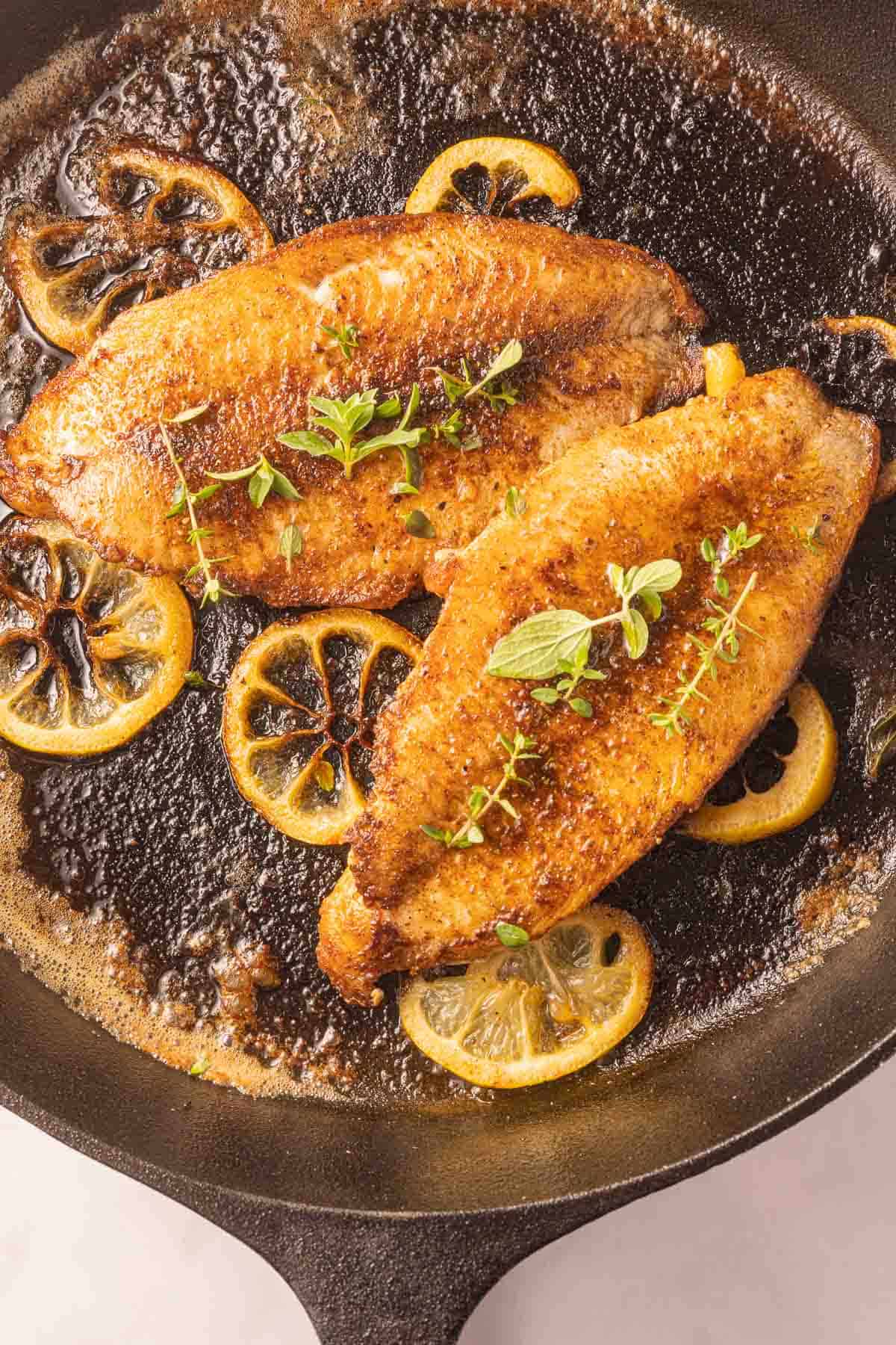 Blackened trout fillets in cast iron skillet.