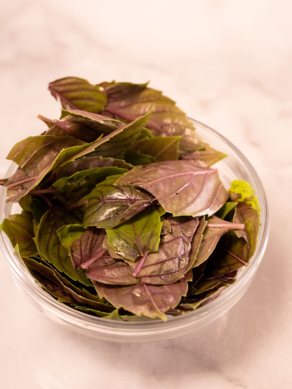 basil leaves in processor.