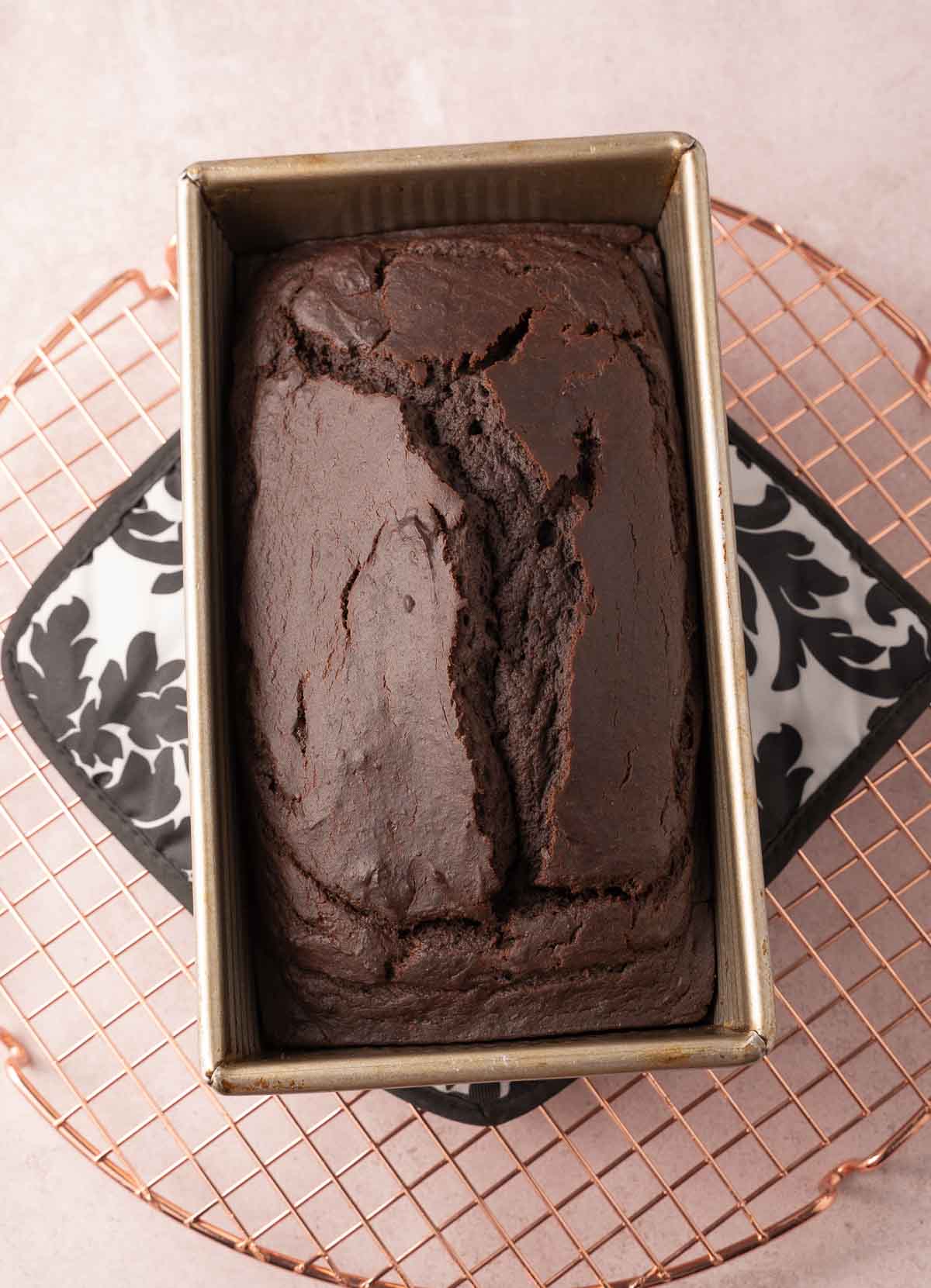 Chocolate pumpkin bread cooling in loaf pan.