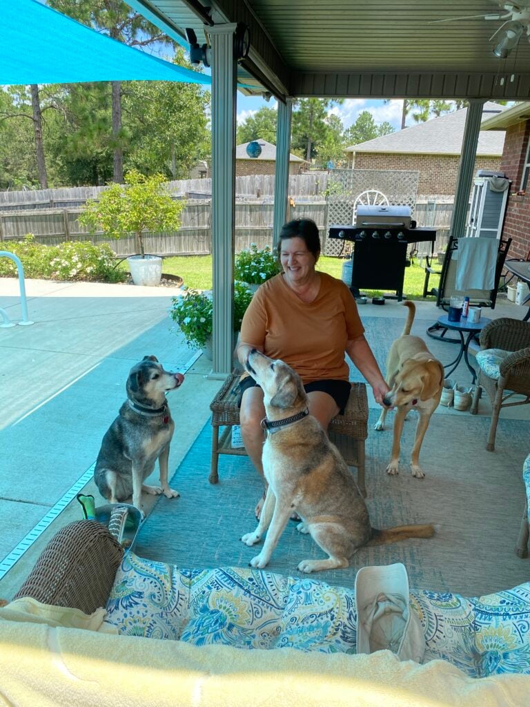 photo of Deb's Daily Dish and 3 dogs.